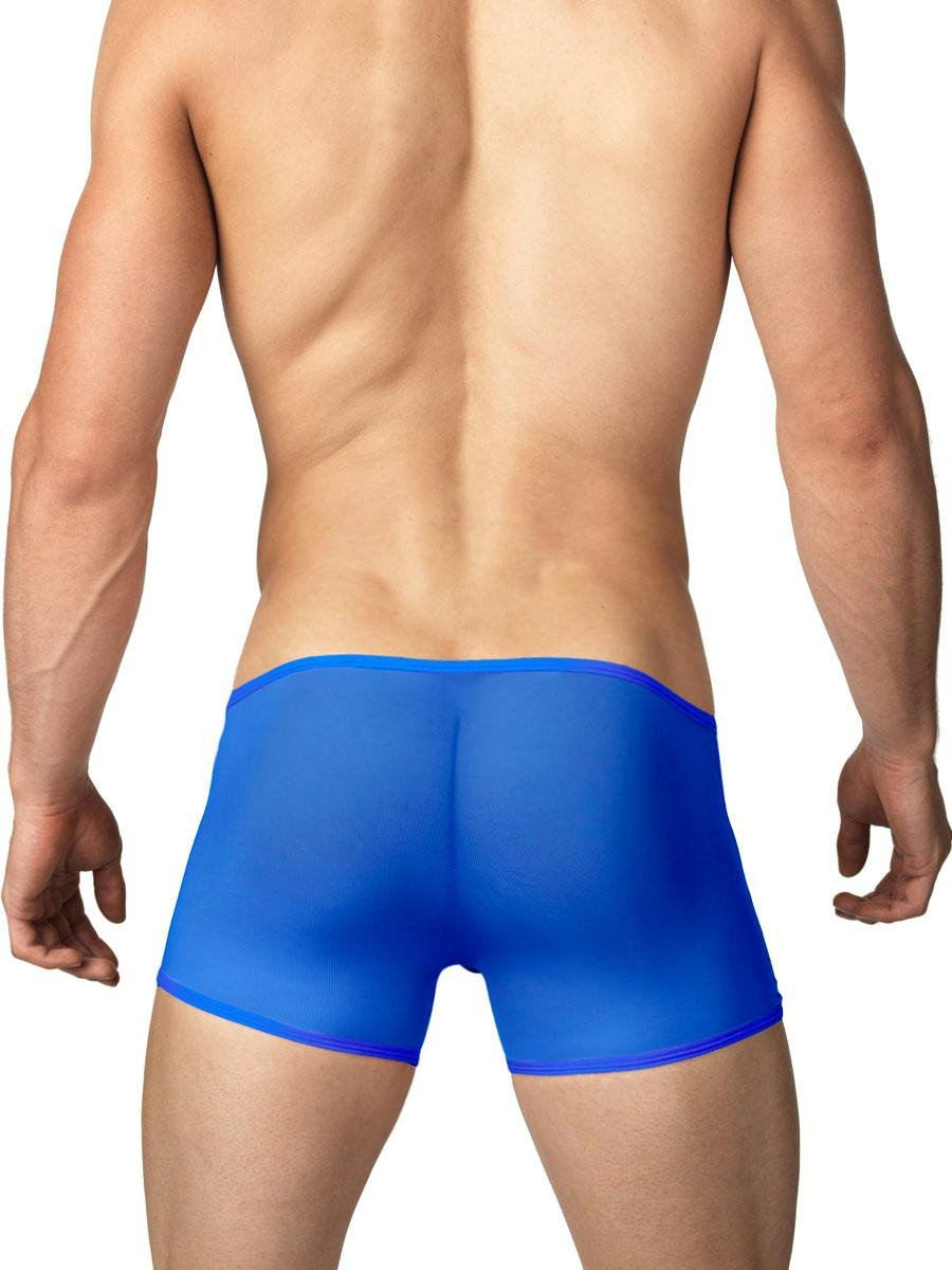 Men's Mesh See Thru Boxers