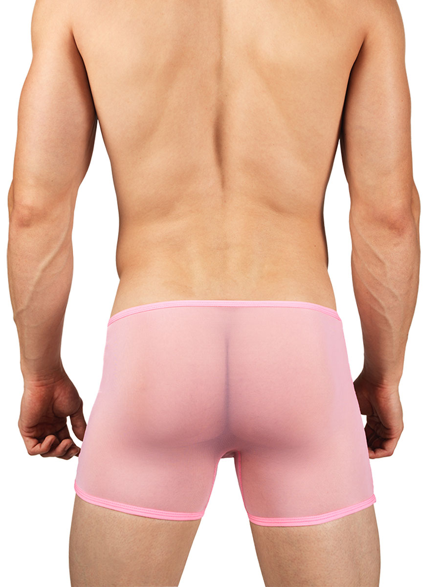 Men's Mesh See Thru Boxers