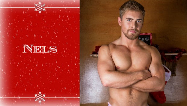 Confessions of an Underwear Model: Nels