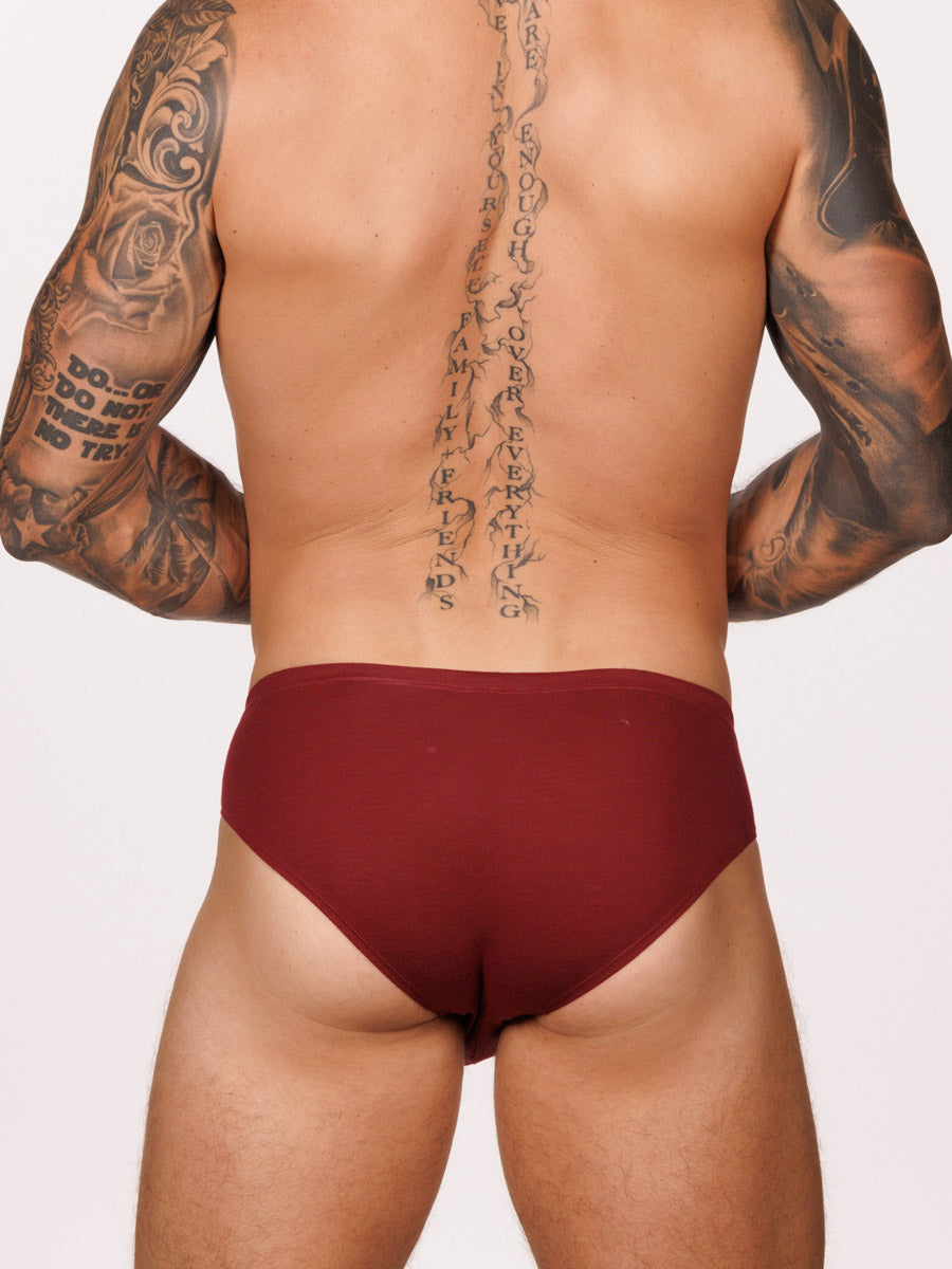 Back view of a male model wearing a burgundy red Body Aware brief