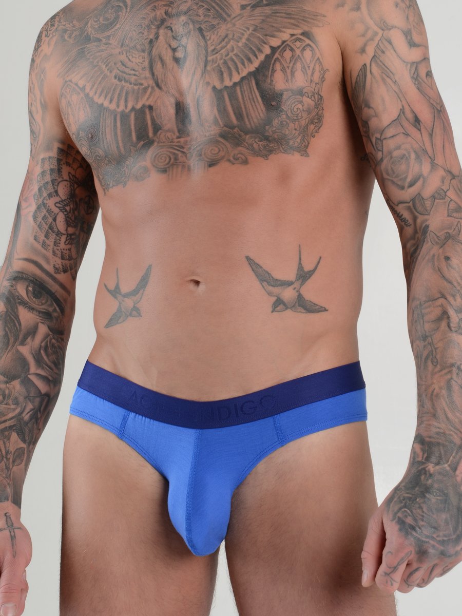 men's blue modal brazilian cut bikini briefs