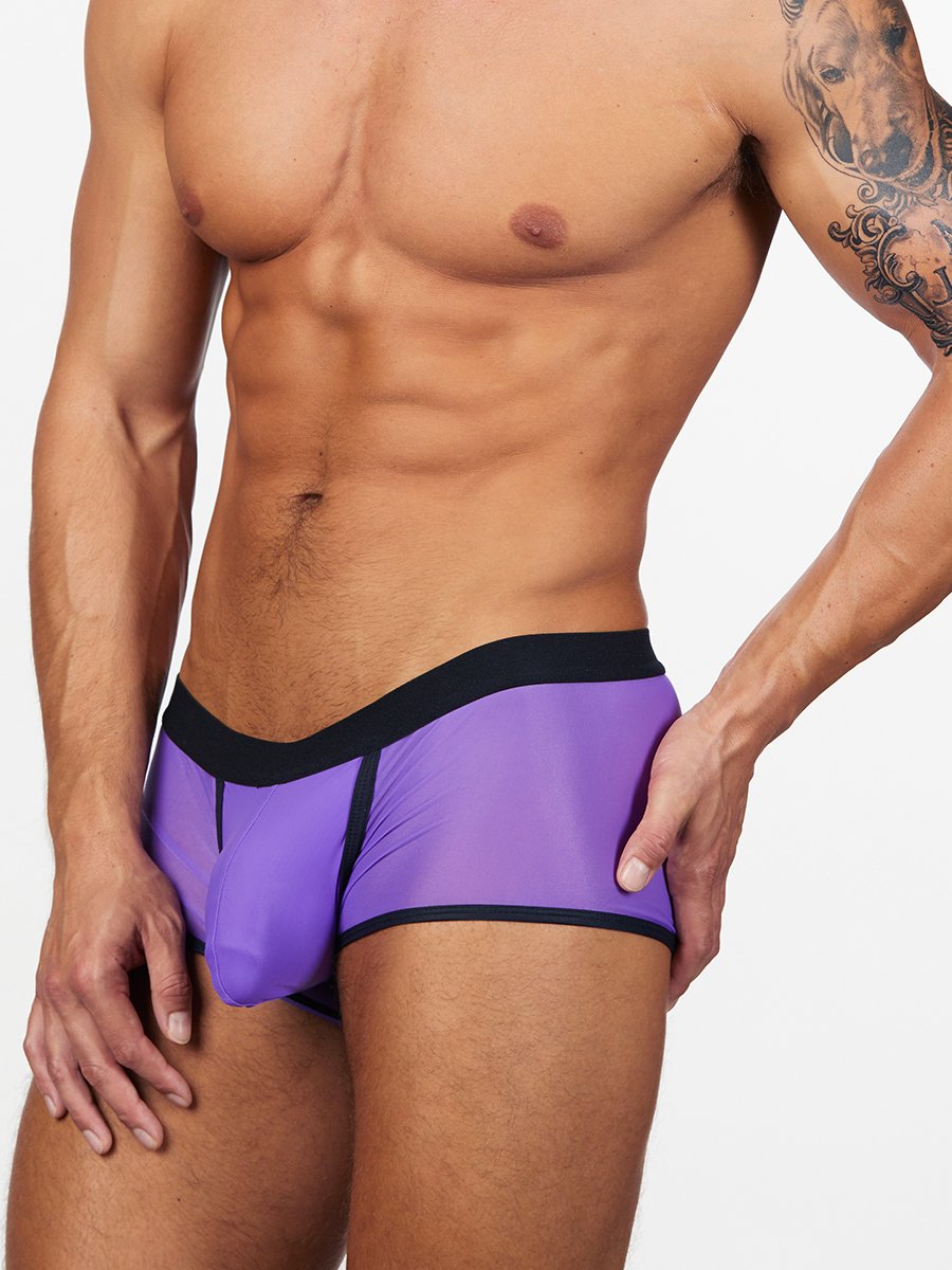 men's purple mesh see through boxers