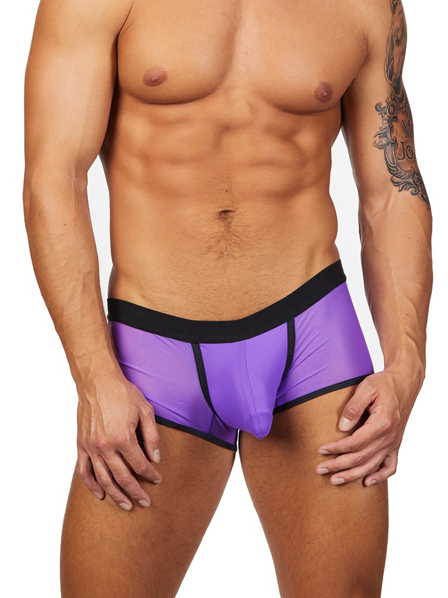 men's purple mesh see through boxers