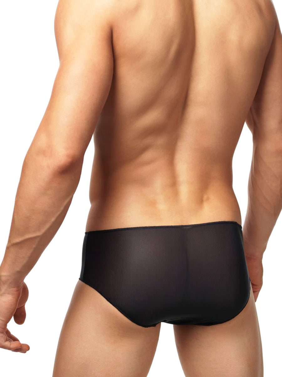 Invisible Pleasure Brief